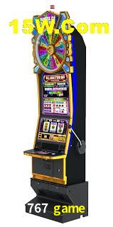 Bonus Features 767 game
